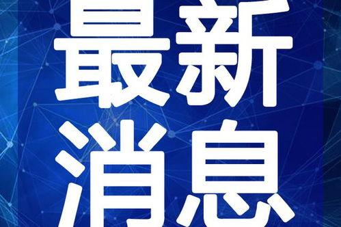 大勇最新爆料新闻视频,最新爆料新闻视频深度解析