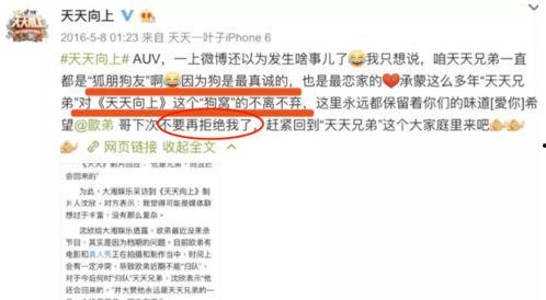 娱乐圈爆料从哪里看,揭秘明星幕后故事，独家揭秘！