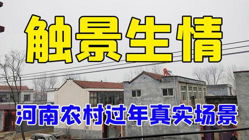 农村真实案例爆料视频,视频爆料揭示农村生活困境