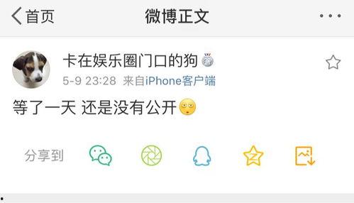 吃瓜视频爆料网站是什么,吃瓜视频爆料网站背后的真相