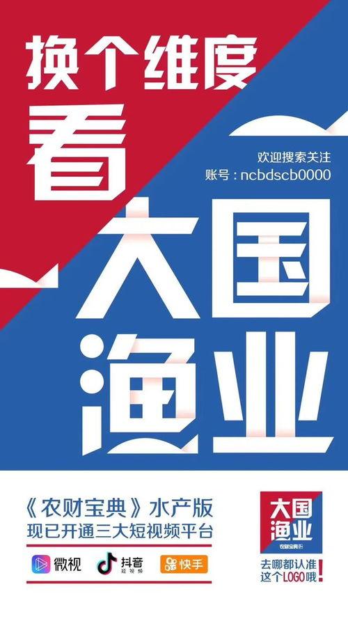 网易最新消息爆料新闻,最新热点事件深度解析