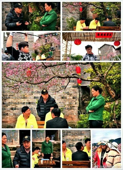 独家爆料平乐下村视频播放,平乐下村视频播放背后的故事