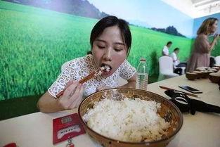 胖胖的网红吃瓜,趣味横生引网友热议