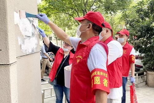 武汉英雄城爆料案件最新,惊天大案背后真相揭晓