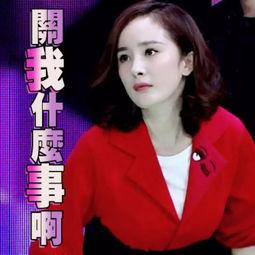 我靠吃瓜系统捧红半个娱乐圈,娱乐圈半壁江山星光熠熠