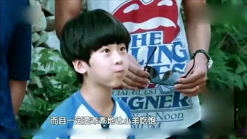 最能爆料娱乐八卦是谁,揭秘幕后真相，独家猛料一网打尽！