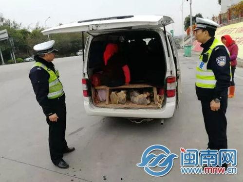 泉州面包车爆料视频,揭秘城市生活百态