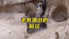 搞笑视频抖音爆料怎么做,爆款短视频背后的制作秘籍