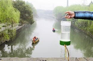 治水最新爆料消息,揭秘最新爆料背后的治水战略升级