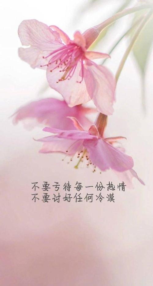 爆料新闻正能量的句子,揭秘爆料新闻中的感人瞬间