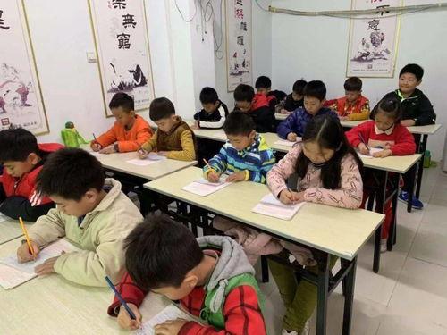 开封小学生最新爆料,校园生活新鲜事大揭秘