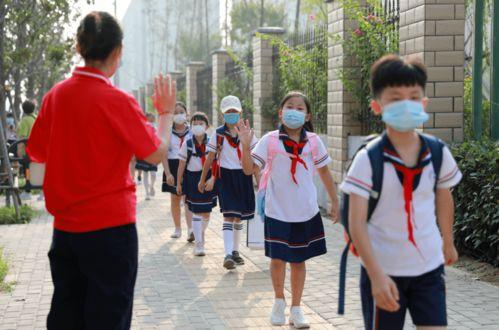 开封小学生最新爆料,校园生活新鲜事大揭秘