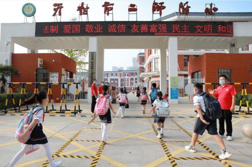 开封小学生最新爆料,校园生活新鲜事大揭秘