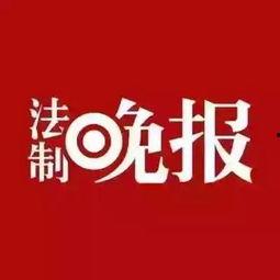 赵县爆料最新新闻头条,赵县突发！最新新闻头条聚焦重大事件