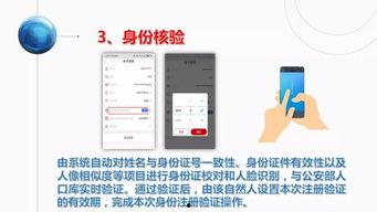 虾爆料操作流程图片视频,图片视频轻松上手