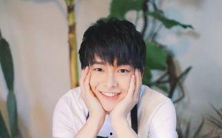 男星菜菜八卦爆料视频大全,视频大全背后的精彩故事