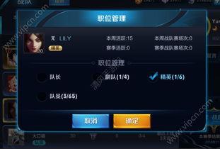 王者爆料操作视频大全,解锁英雄技巧，畅游峡谷巅峰