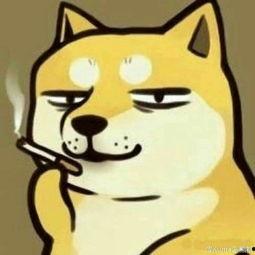 新闻爆料的头像怎么弄,揭秘幕后黑科技