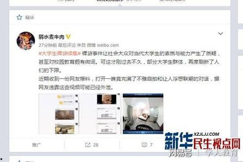 新宫本全新爆料视频,技能调整与全新机制深度解析