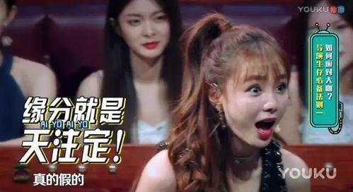刘维爆料录音视频播放,揭秘娱乐圈不为人知的幕后故事