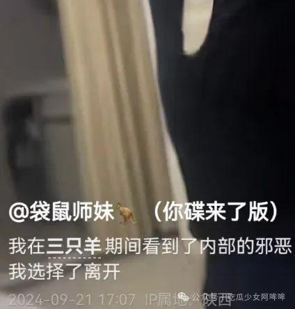 天涯爆料女高管视频大全,揭秘女高管视频大全背后的真相与争议
