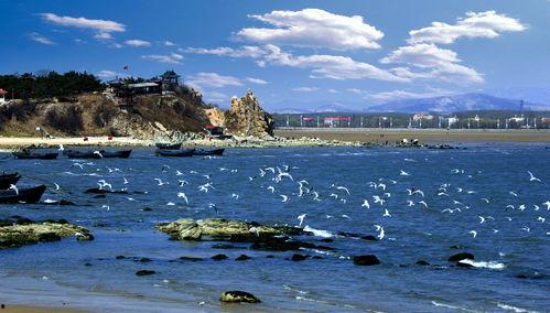 北戴河旅游爆料事件最新,揭秘背后真相，游客权益如何保障？