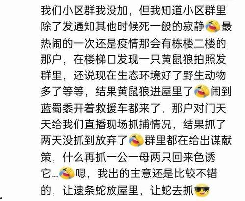 qq群免费吃大瓜,共享网络美食盛宴