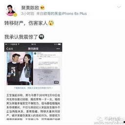天涯爆料真实的马蓉视频,天涯爆料揭示惊人内幕