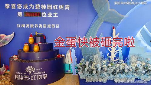 钦州新闻爆料电话,倾听民声，传递民意，共建和谐家园”