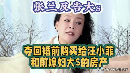 台媒评张兰最新爆料,台媒深度解读