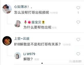 辛巴猫妹妹爆料视频,背后惊人真相曝光