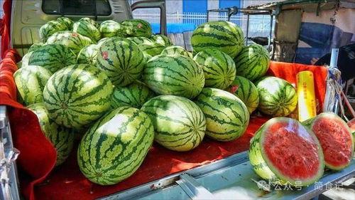沂水吃瓜网红事件真相,真相背后的网络狂欢与反思