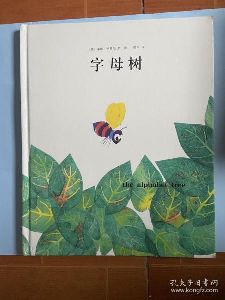 宁津探店爆料视频最新,最新探店爆料视频深度解析