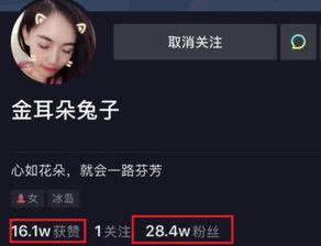 娱乐人爆料时团的料,娱乐人爆料背后的真相