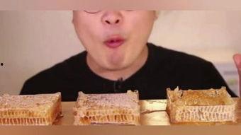 蜂巢dvd在线观看,揭秘神秘蜂巢世界的奇幻之旅