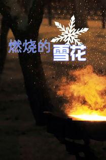 雪花在线观看免费观看,免费在线观看，冬日浪漫温情绽放