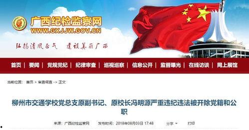 广西都市爆料最新消息新闻