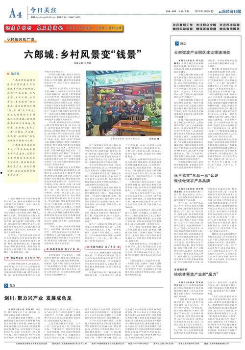 今日关注爆料新闻内容摘抄,关注爆料新闻背后的真相