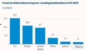 可以投稿的新闻爆料,揭秘XX事件背后真相