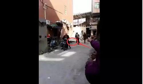 杭州工厂爆料视频大全集,揭秘真实生产现场