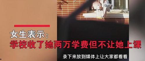 最新高校爆料事件视频完整版,揭秘惊人真相与背后隐情