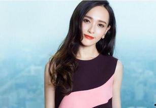 河南叶婷网友爆料视频,揭秘惊人真相！