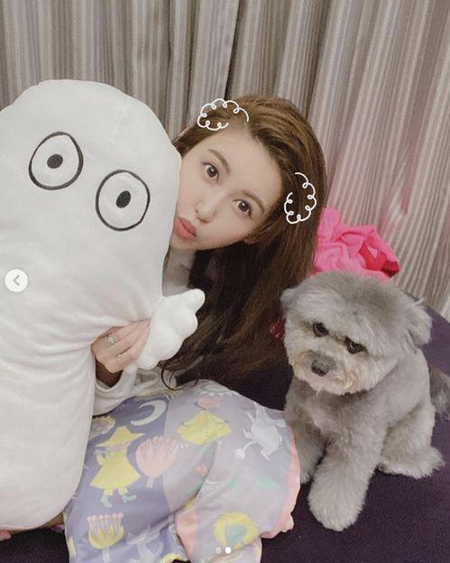 最新台媒爆料小猪,事件持续发酵