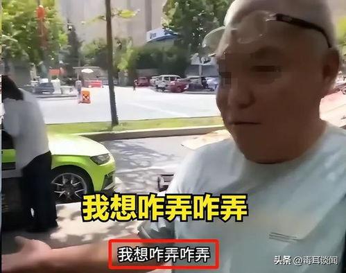 老实老头爆料视频大全集,揭秘生活百态，笑谈世间万象