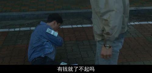 老实老头爆料视频大全集,揭秘生活百态，笑谈世间万象