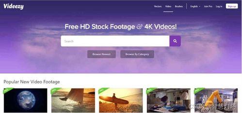 爆料图片视频素材高清无水印,图片视频素材背后的故事