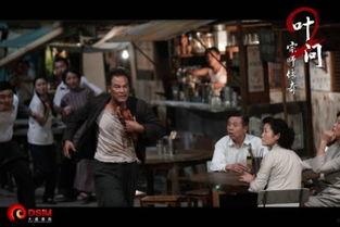 叶问2在线免费观看,宗师再起，免费观影，传承武术精神