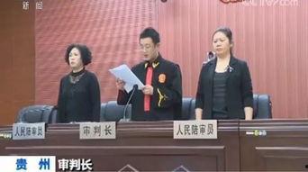 陆河新闻爆料事件始末,真相追踪与舆论风暴