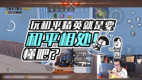 和平相处爆料视频,揭秘爆料视频背后的和谐故事