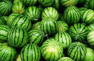 吃瓜的群免费,免费畅享娱乐盛宴的神秘世界